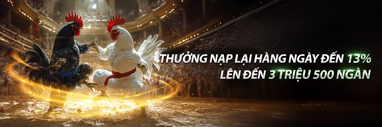Blog 66clup Chính Thức - Nơi Chia Sẻ Kiến Thức Cá Cược Đỉnh Cao